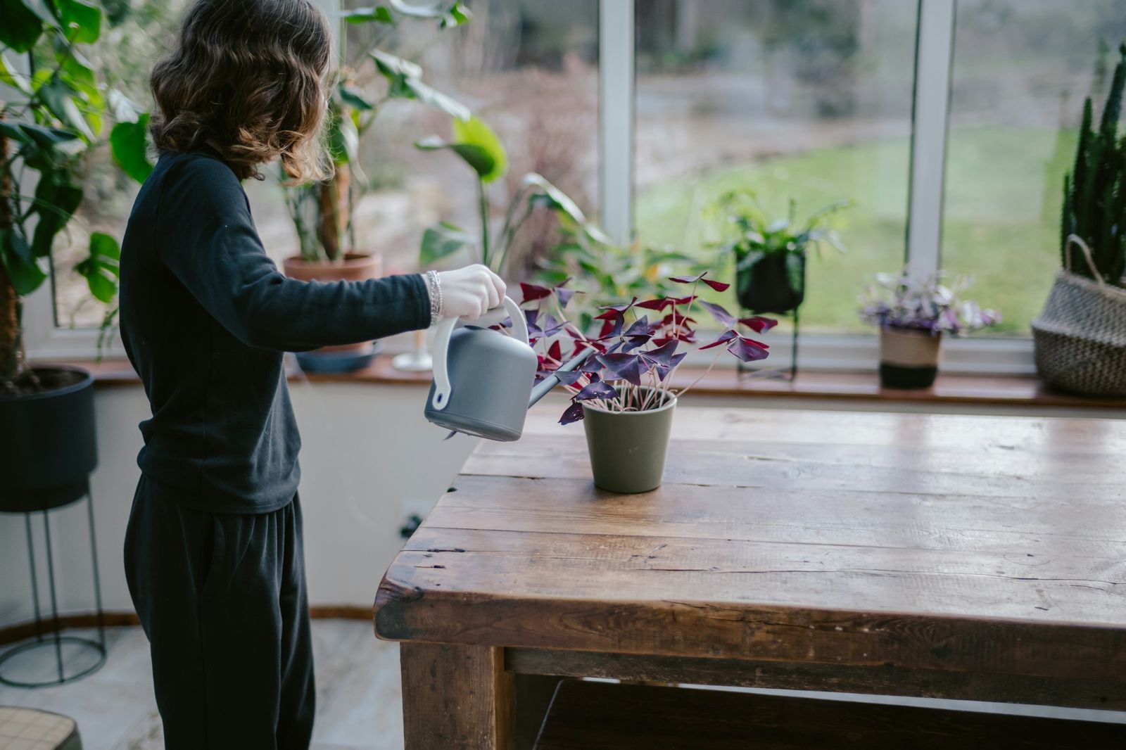 A person watering a small potted plant with a watering can
