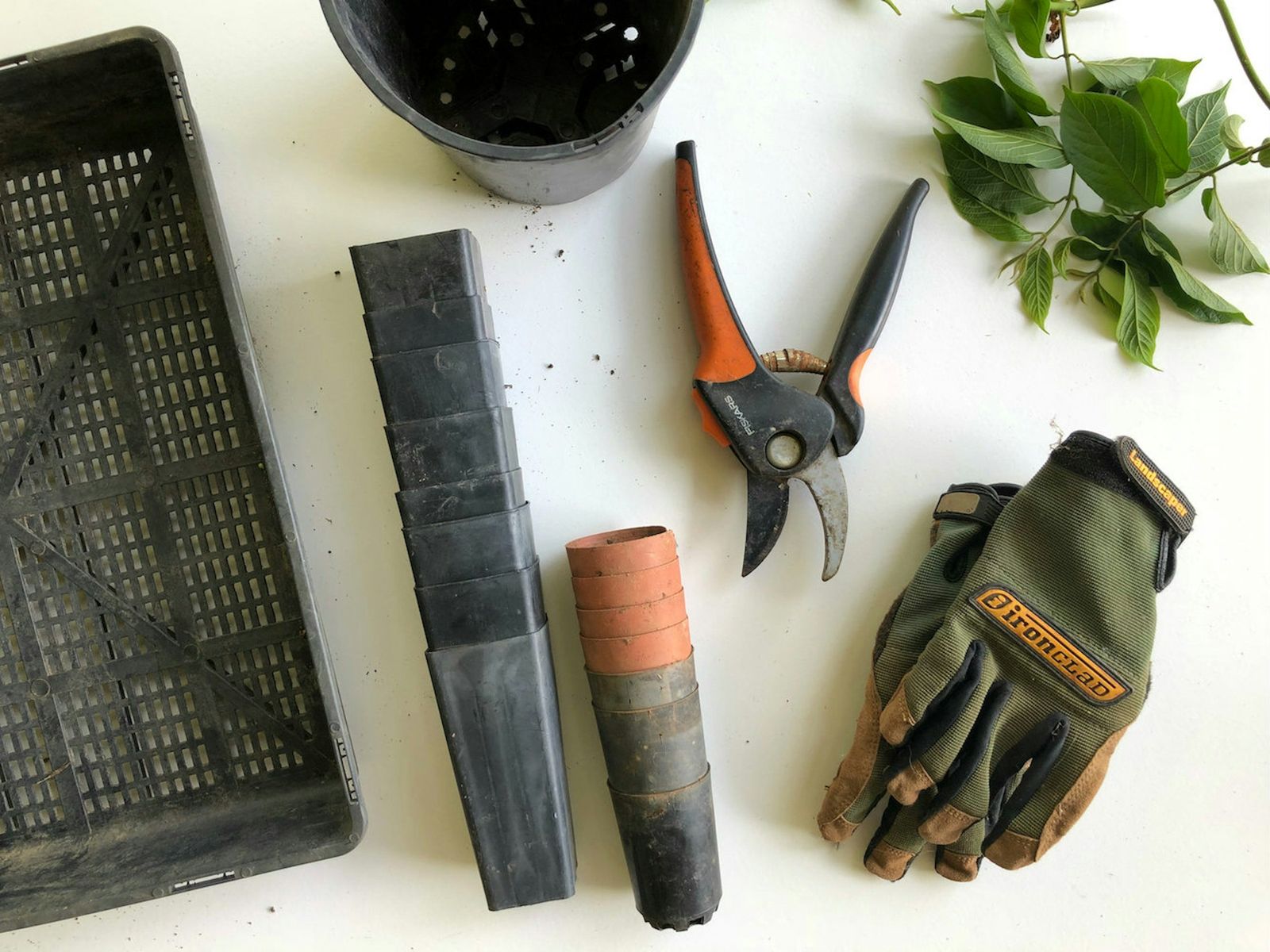 Pruning shears, gloves, and small pots laid out for bonsai care